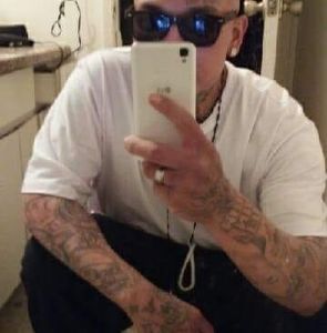 Meet your Posher, Hector